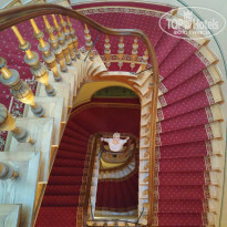 фото из отзыва ID 1889970