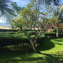 фото из отзыва ID 1889538