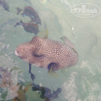 фото из отзыва ID 1889280