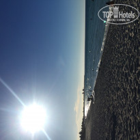 фото из отзыва ID 1889390