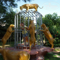 фото из отзыва ID 1887289