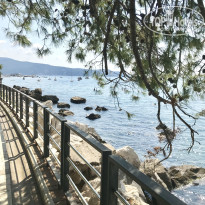 фото из отзыва ID 1885140