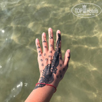 фото из отзыва ID 1887921