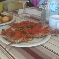 фото из отзыва ID 1884850