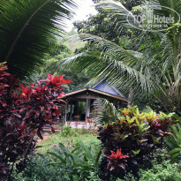 фото из отзыва ID 1890027