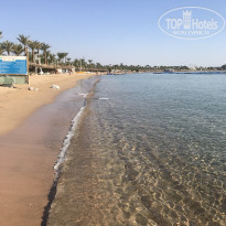 фото из отзыва ID 1890096