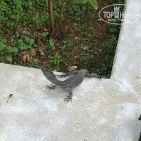 фото из отзыва ID 1890237