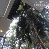 фото из отзыва ID 1890475