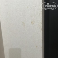 фото из отзыва ID 1890515