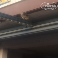 фото из отзыва ID 1890548