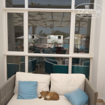 фото из отзыва ID 1890557