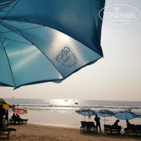 фото из отзыва ID 1890621