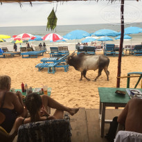 фото из отзыва ID 1890621