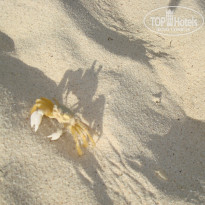 фото из отзыва ID 1890826