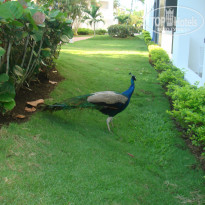 фото из отзыва ID 1890826