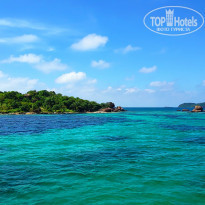 фото из отзыва ID 1890837