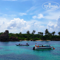 фото из отзыва ID 1890837