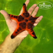 фото из отзыва ID 1890837