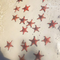 фото из отзыва ID 1890837