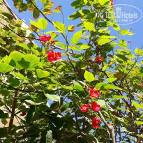 фото из отзыва ID 1890861