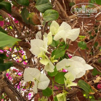 фото из отзыва ID 1890861