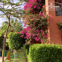 фото из отзыва ID 1890906