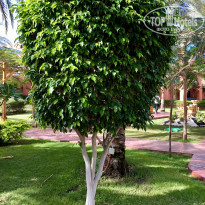 фото из отзыва ID 1890906