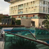 фото из отзыва ID 1891151