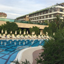 фото из отзыва ID 1891151