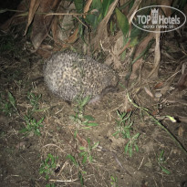 фото из отзыва ID 1891151