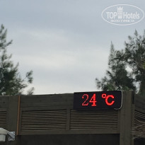 фото из отзыва ID 1891151