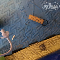 фото из отзыва ID 1891708