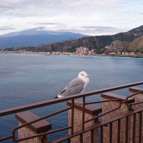 фото из отзыва ID 1891765