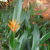 фото из отзыва ID 1891002