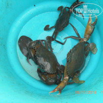 фото из отзыва ID 1891002