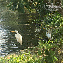 фото из отзыва ID 1891808