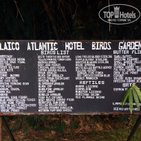 фото из отзыва ID 1891884