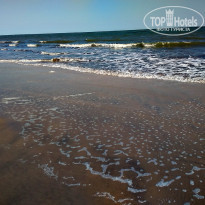 фото из отзыва ID 1891884