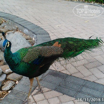 фото из отзыва ID 1891927