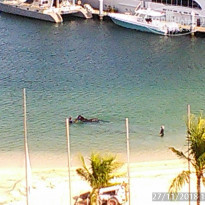 фото из отзыва ID 1891927