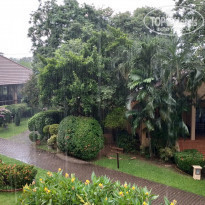 фото из отзыва ID 1891101