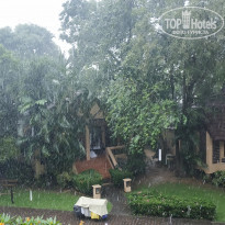 фото из отзыва ID 1891101