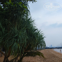 фото из отзыва ID 1891101