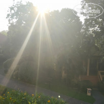 фото из отзыва ID 1891101