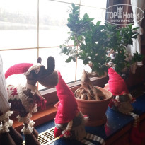 фото из отзыва ID 1892228