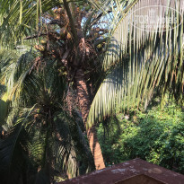 фото из отзыва ID 1892264