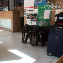 фото из отзыва ID 1892264