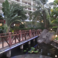 фото из отзыва ID 1892282