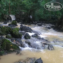 фото из отзыва ID 1892204