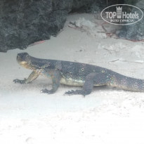 фото из отзыва ID 1892204